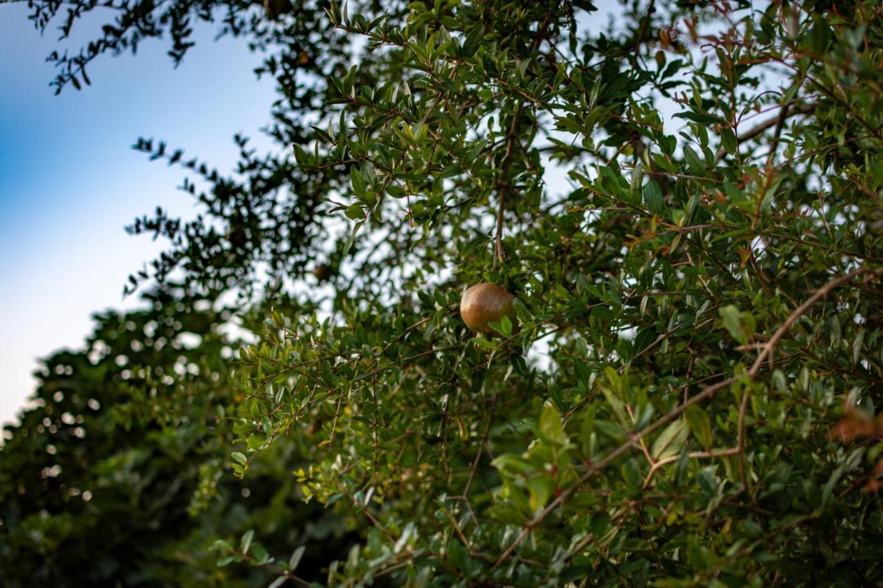 Antica Casina B&B Di Charme Pulsano Exterior foto