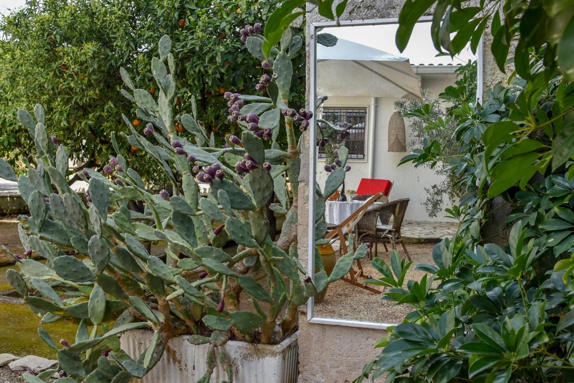 Antica Casina B&B Di Charme Pulsano Exterior foto